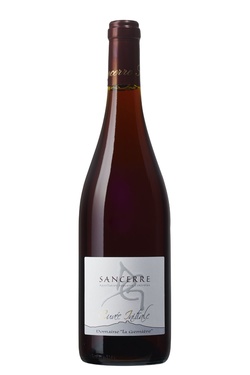 Aop Sancerre Rouge Domaine De La Gemiere 2022